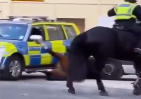 Traffic police in London run over one of their own horses