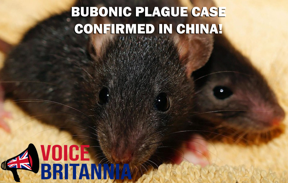 bubonic plague case confirmed in china