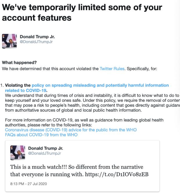 donald trump jr suspended from twitter