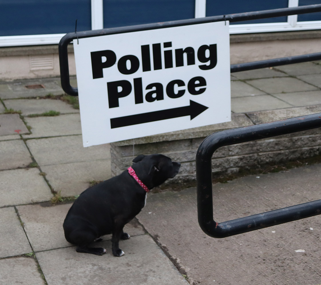 cute dog at kincorth polling station - voice britannia